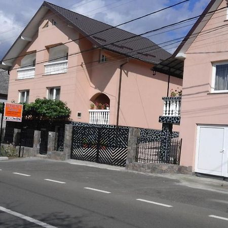 casa anca Hotel Sighetu Marmaţiei Exterior foto