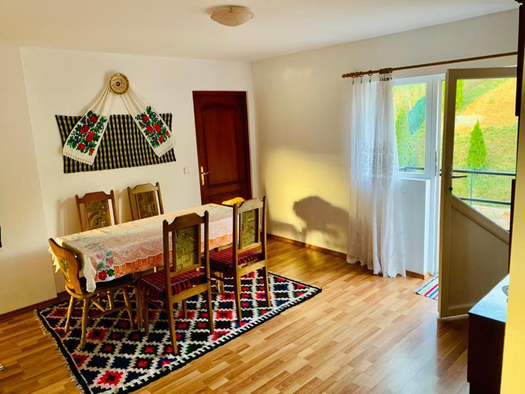 casa anca Hotel Sighetu Marmaţiei Exterior foto