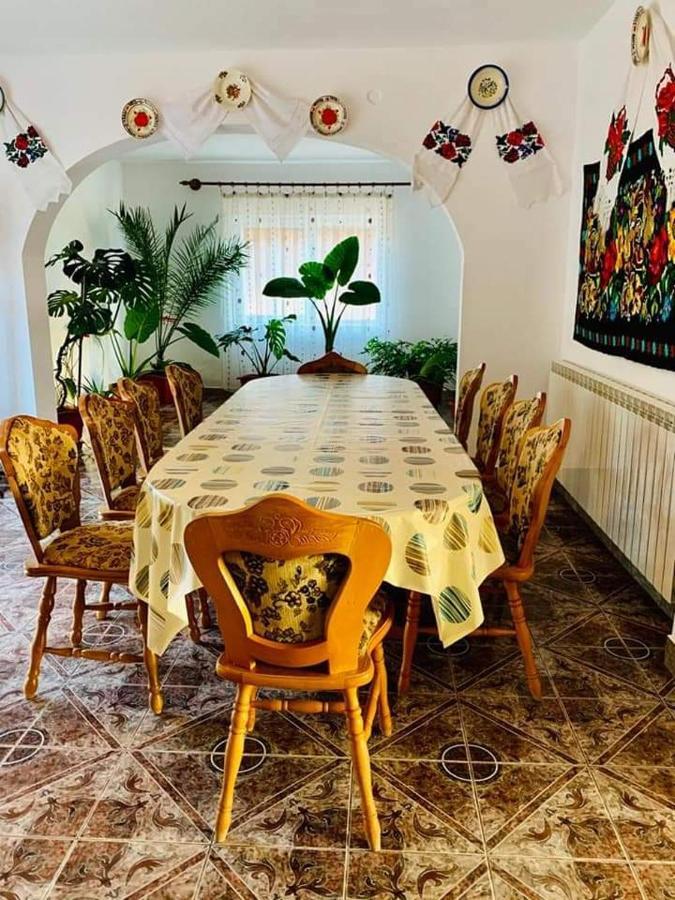 casa anca Hotel Sighetu Marmaţiei Exterior foto