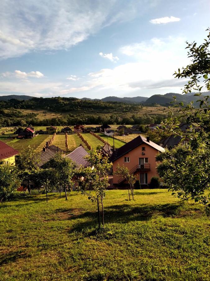 casa anca Hotel Sighetu Marmaţiei Exterior foto